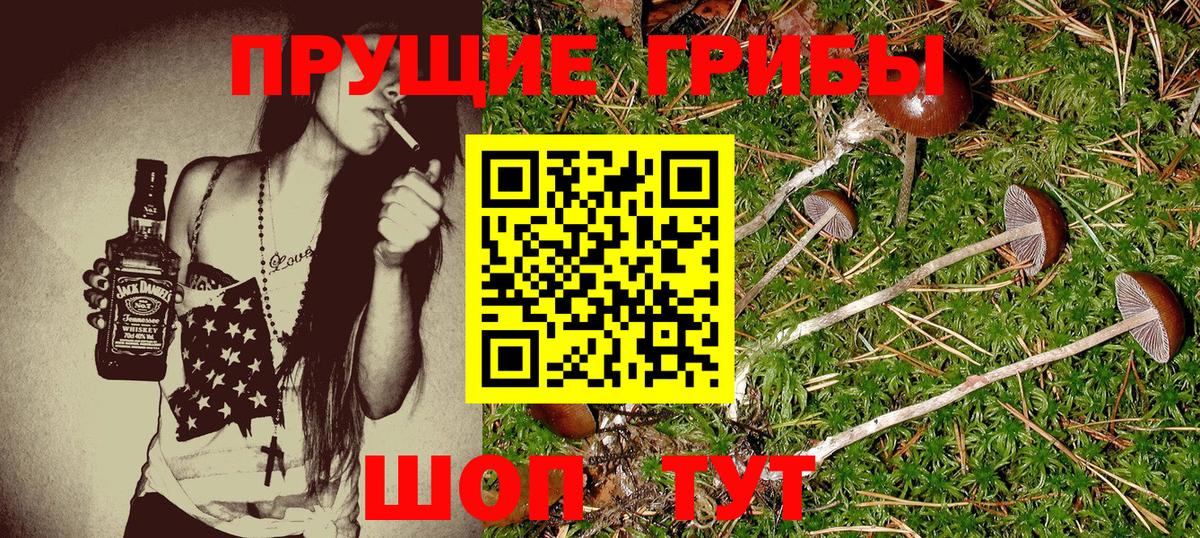 Псилоцибиновые грибы Psilocybine cubensis  Вход с VPN  Нижневартовск 